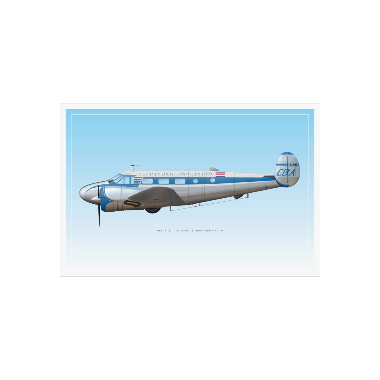 Beech 18 -  Fine Art Poster