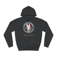 Thumbnail for American Airlines Vintage -  Hoodie